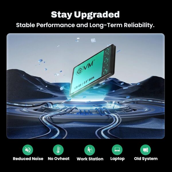ssd128-5 EVM 128GB 2.5 Inch SATA III Internal SSD | Up to 550MB/s Read 500MB/s Write | 3D NAND Storage for Laptop Desktop Upgrade | 5 Year Warranty (EVM25/128GB)