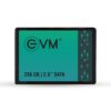 ssd256-1 EVM 256GB 2.5 Inch SATA III Internal SSD | Up to 550MB/s Read 500MB/s Write | Laptop Desktop Upgrade Storage | 5 Year Warranty (EVM25/256GB)