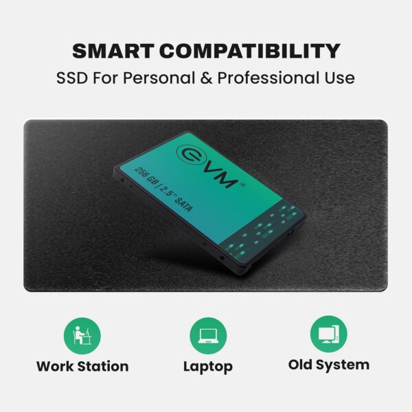 ssd256-5 EVM 256GB 2.5 Inch SATA III Internal SSD | Up to 550MB/s Read 500MB/s Write | Laptop Desktop Upgrade Storage | 5 Year Warranty (EVM25/256GB)